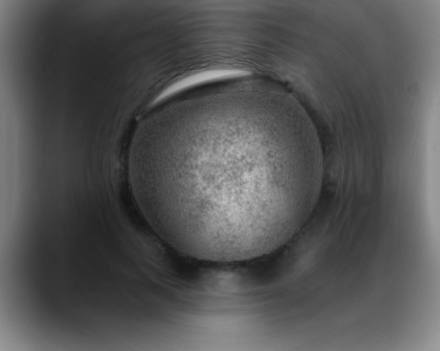 X0000088850743200706151717