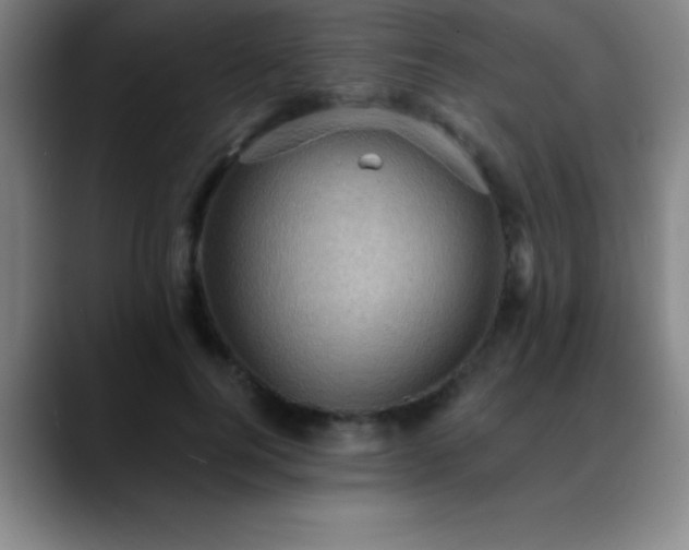 X0000088850744200706151717