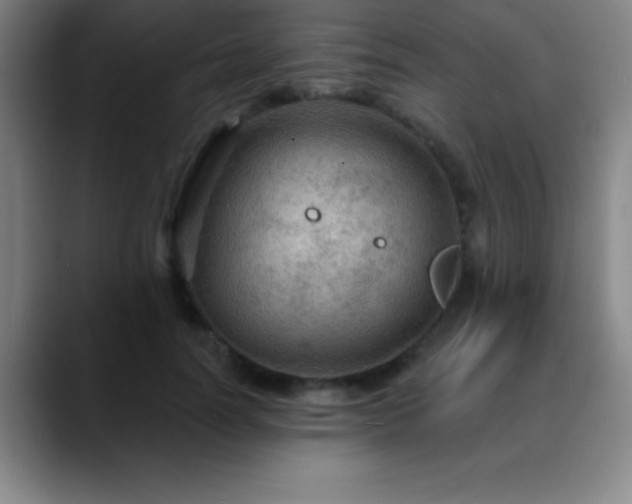 X0000088850746200706151717