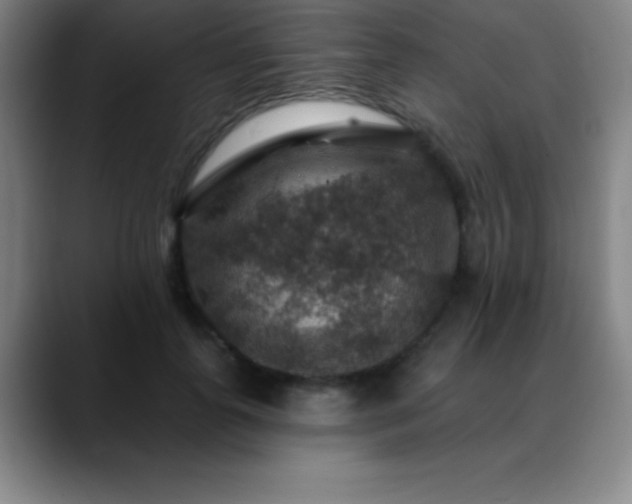 X0000088850747200706151717