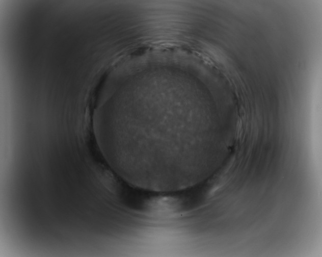 X0000088850748200706151717