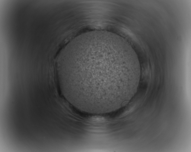 X0000088850749200706151717