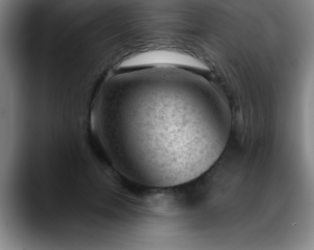 X0000088850750200706151717