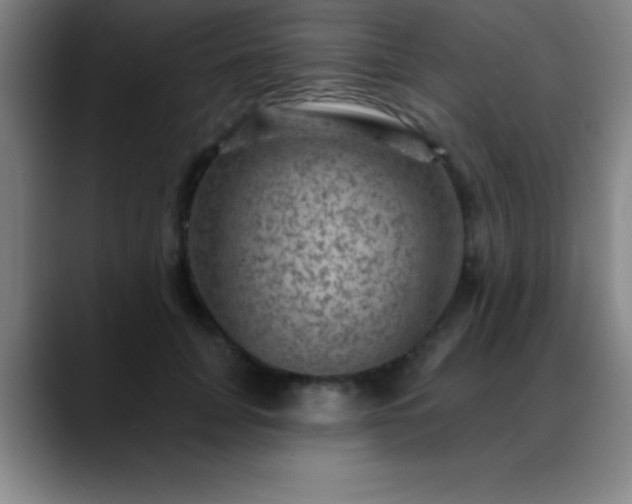 X0000088850751200706151717