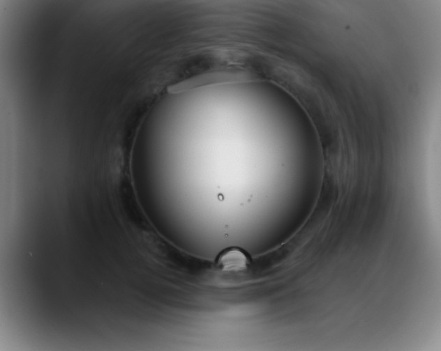 X0000088850752200706151717