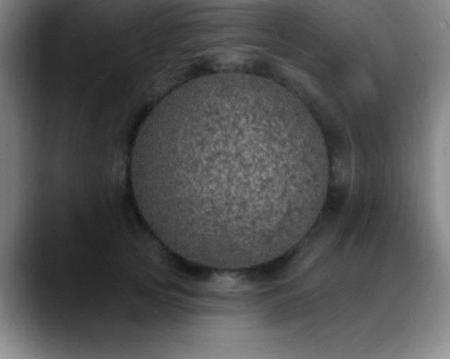 X0000088850753200706151717