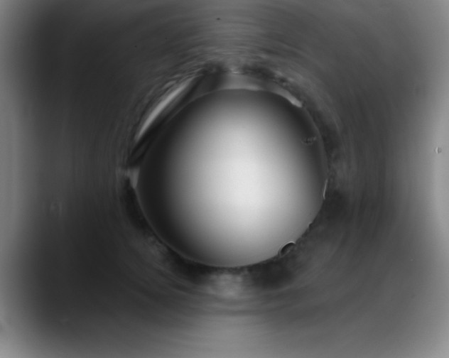 X0000088850756200706151717