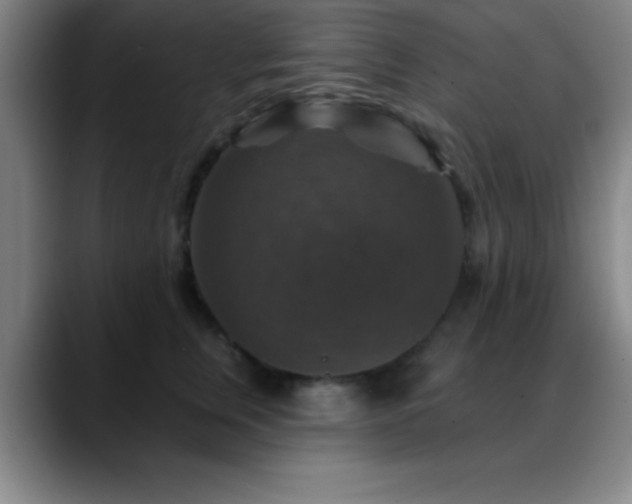 X0000088850759200706151717