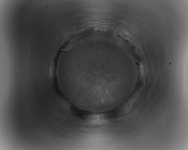 X0000088850760200706151717