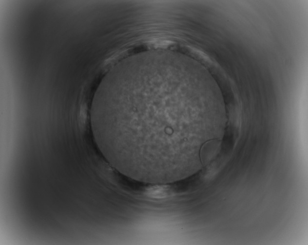 X0000088850761200706151717