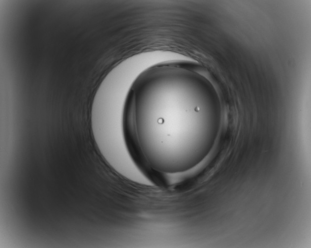 X0000088850762200706151717