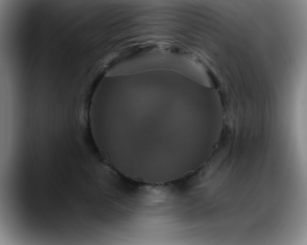 X0000088850763200706151717