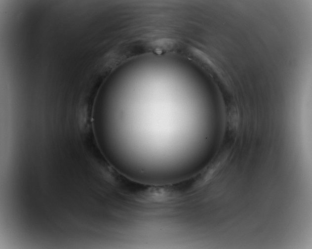 X0000088850764200706151717