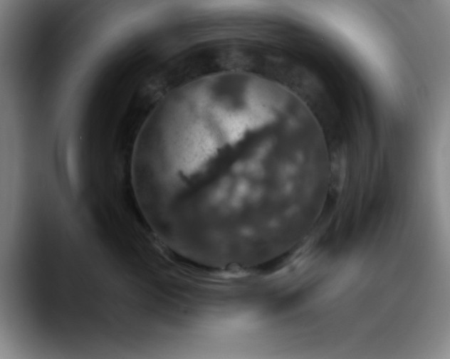 X0000088850765200706151717