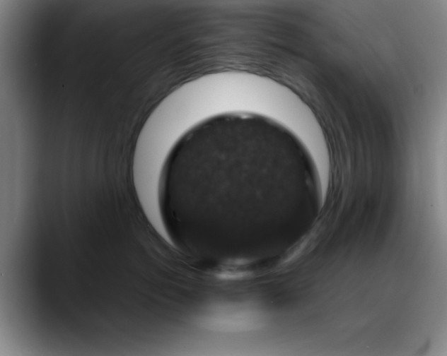 X0000088850766200706151717