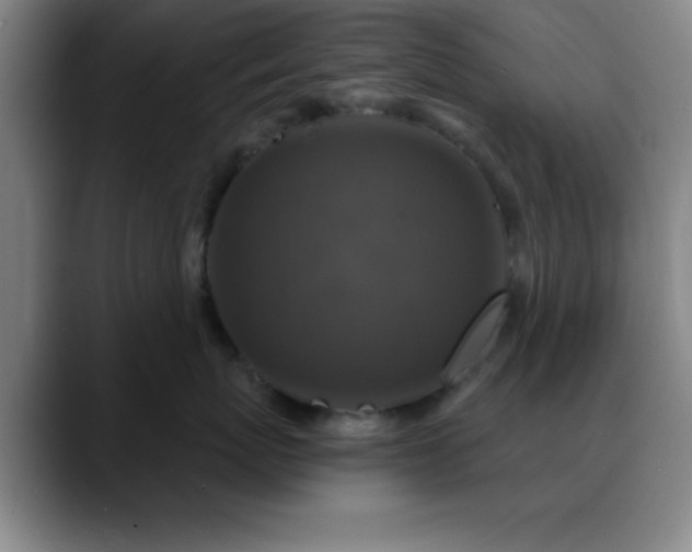 X0000088850767200706151717