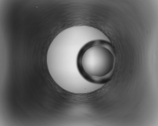 X0000088850768200706151717