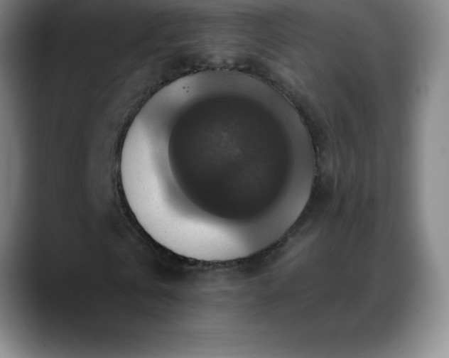 X0000088850769200706151716