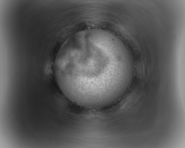 X0000088850770200706151716