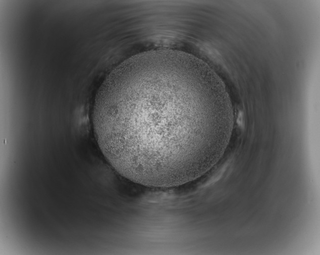 X0000088850771200706151716