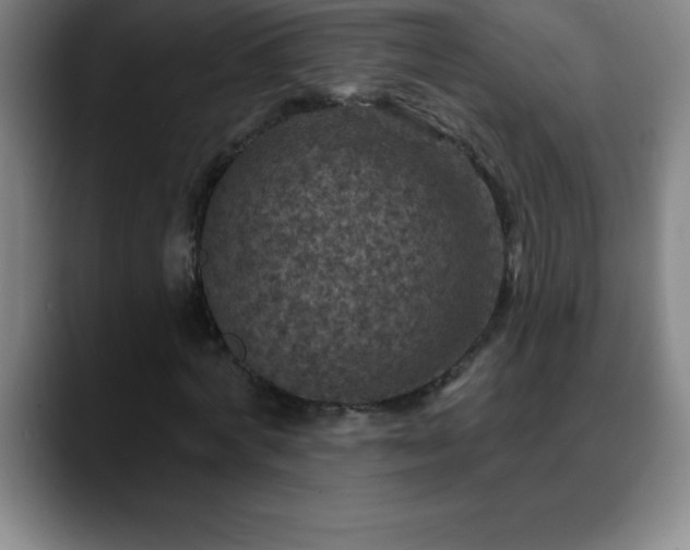 X0000088850772200706151716