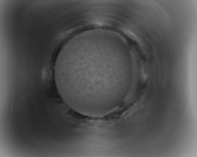 X0000088850776200706151716