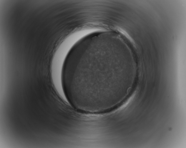 X0000088850777200706151716