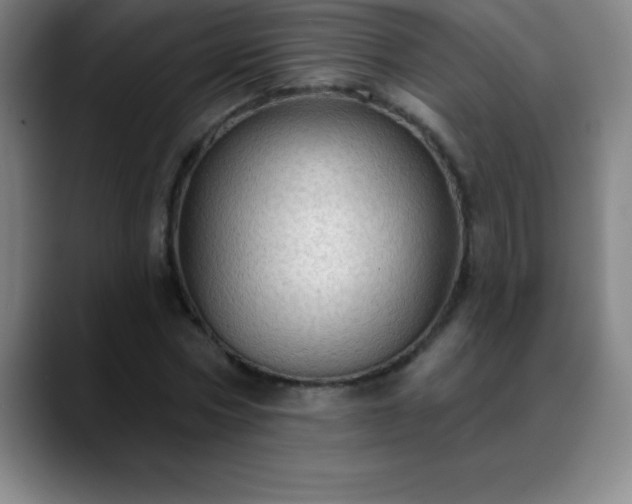 X0000088850778200706151716