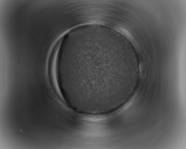 X0000088850780200706151716