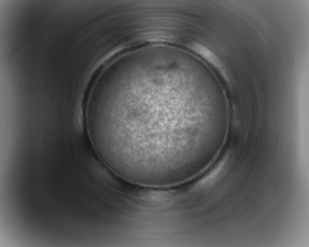 X0000088850782200706151716