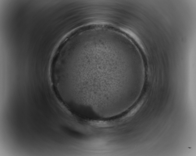 X0000088850783200706151716