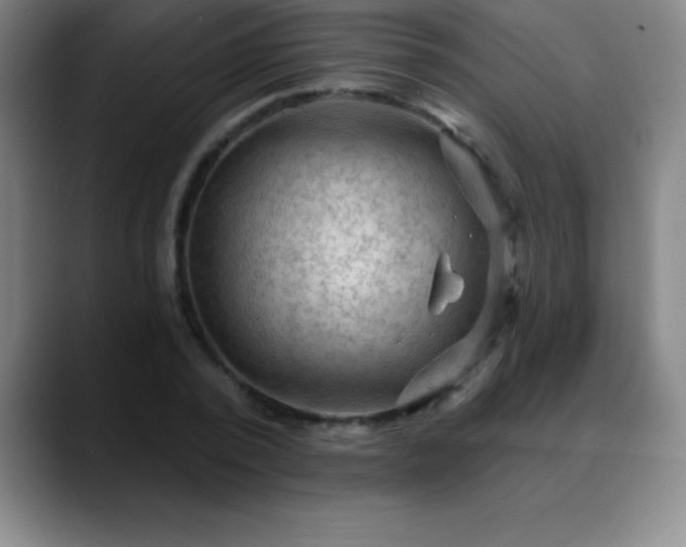 X0000088850784200706151716