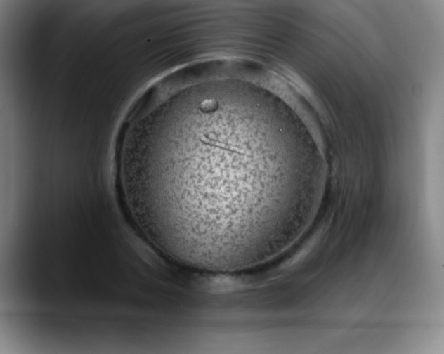 X0000088850787200706151716