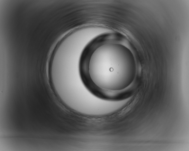 X0000088850788200706151716