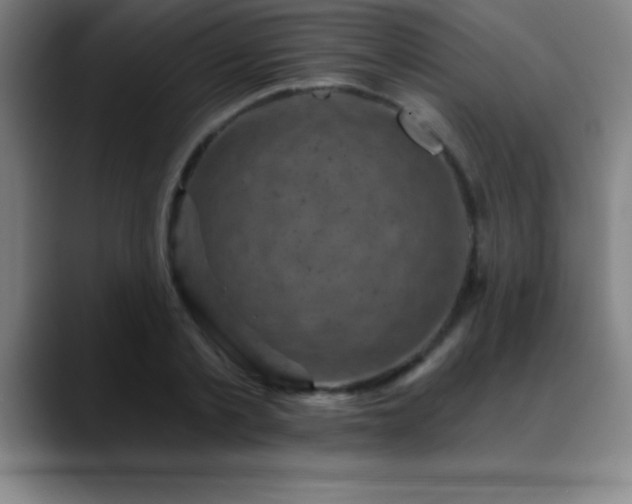 X0000088850789200706151716