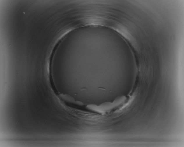 X0000088850790200706151716