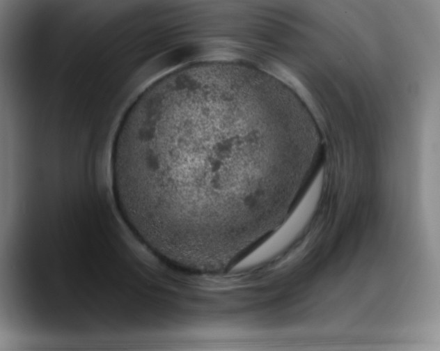 X0000088850795200706151716