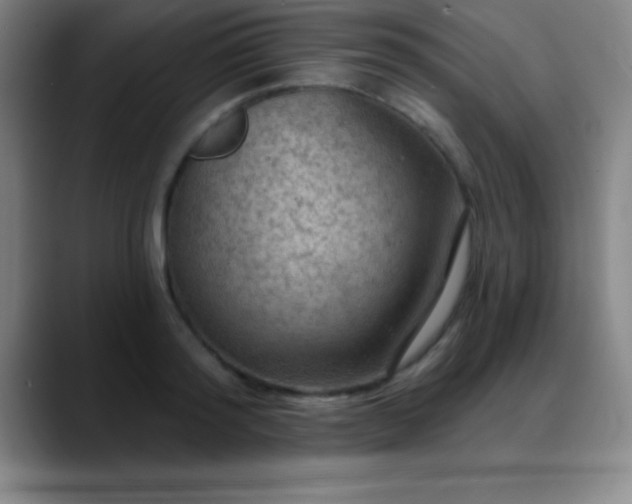 X0000088850796200706151716