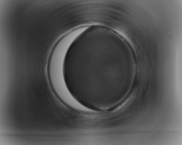 X0000088850797200706151716