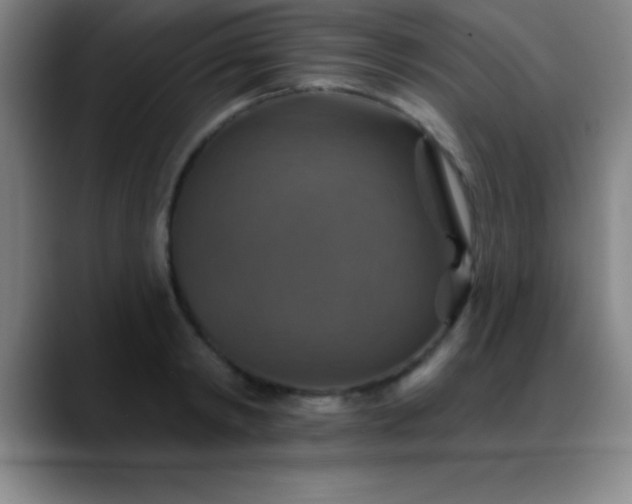 X0000088850798200706151716