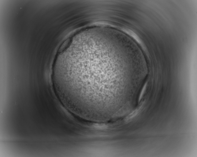 X0000088850799200706151716