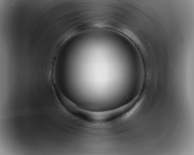 X0000088850801200706151716