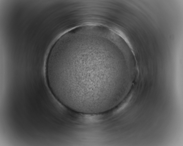 X0000088850803200706151716