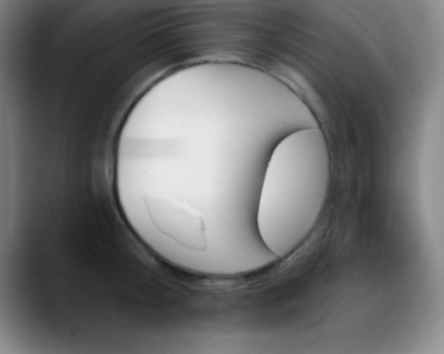 X0000088850804200706151716