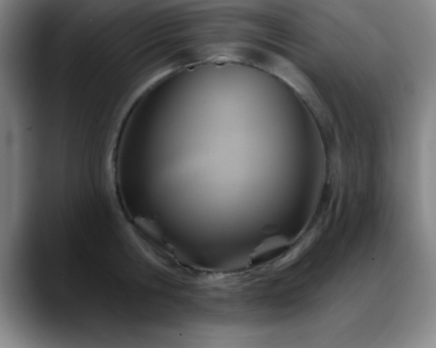 X0000088850806200706151716