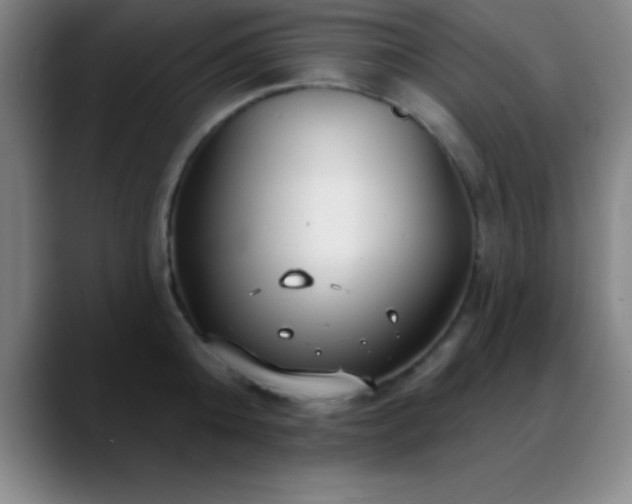 X0000088850808200706151716