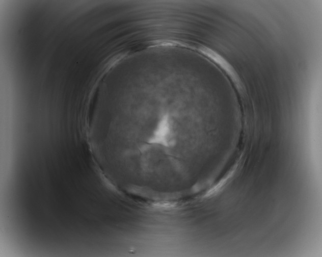 X0000088850809200706151716