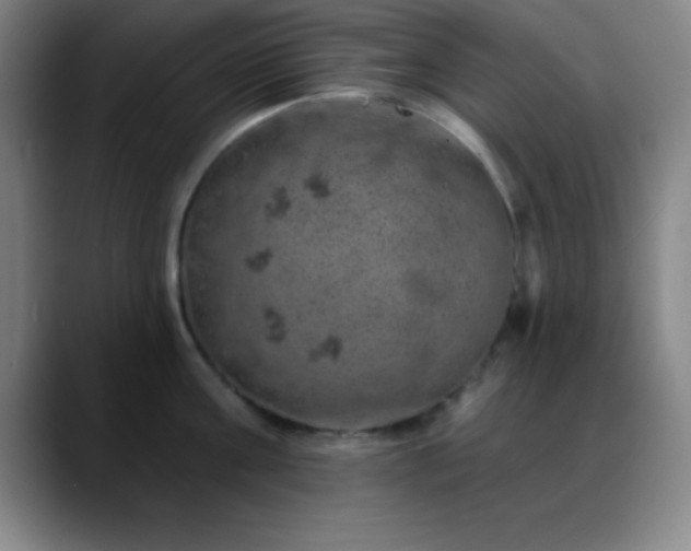 X0000088850811200706151716