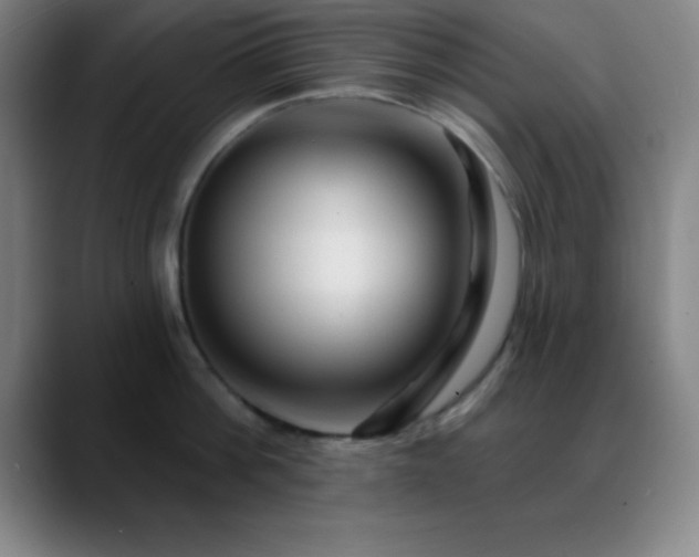 X0000088850812200706151716