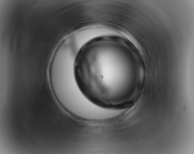 X0000088850813200706151716